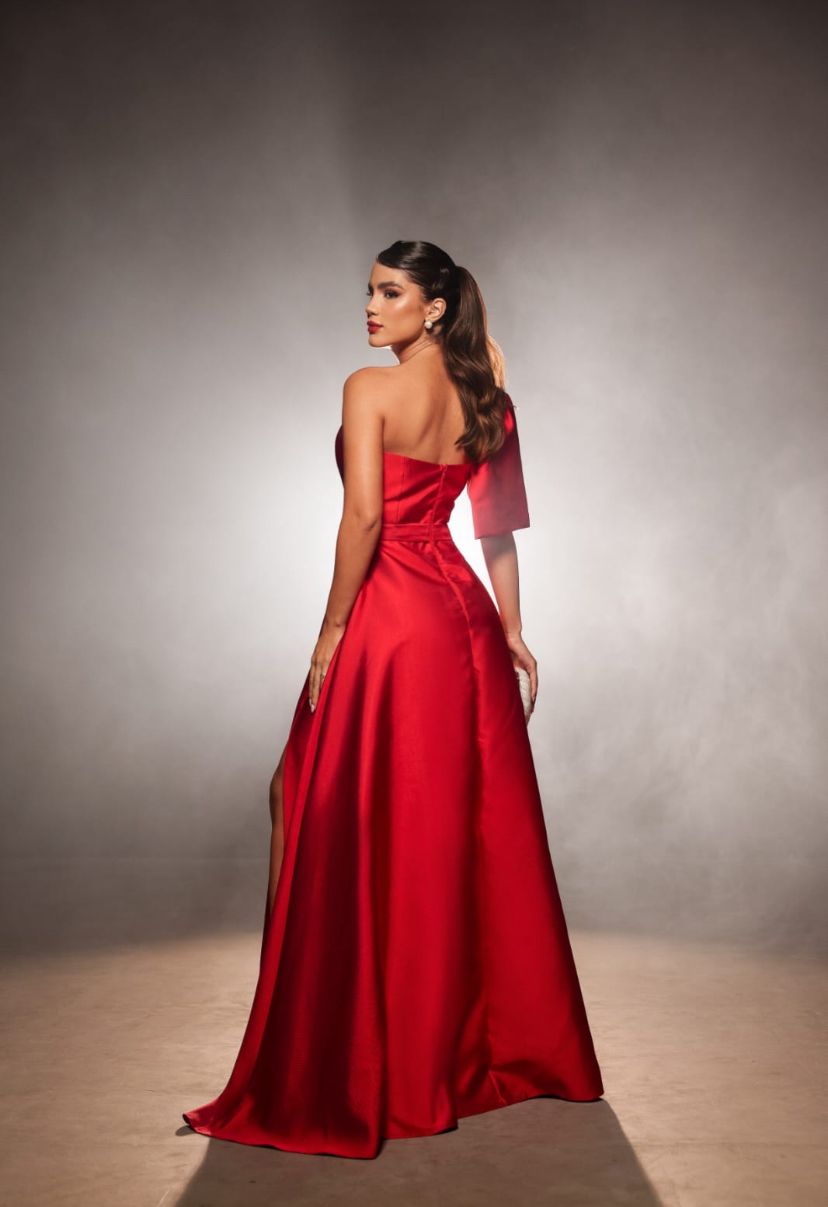 VESTIDO EVISSA ZEBELINE